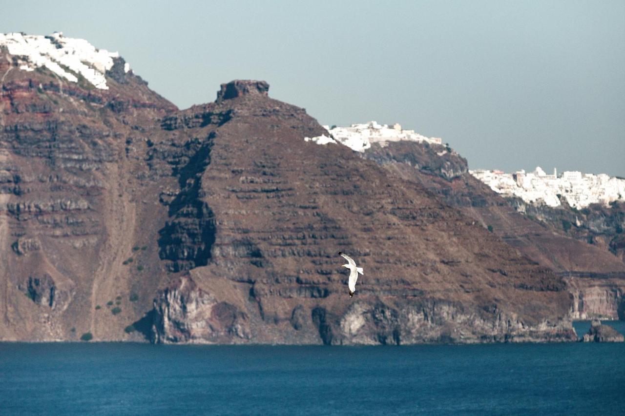 Cliff Nest