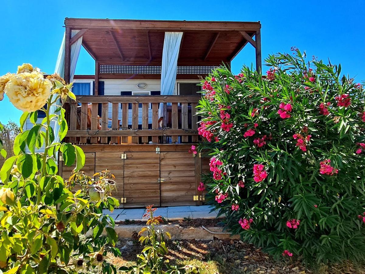 Garden Caravan
