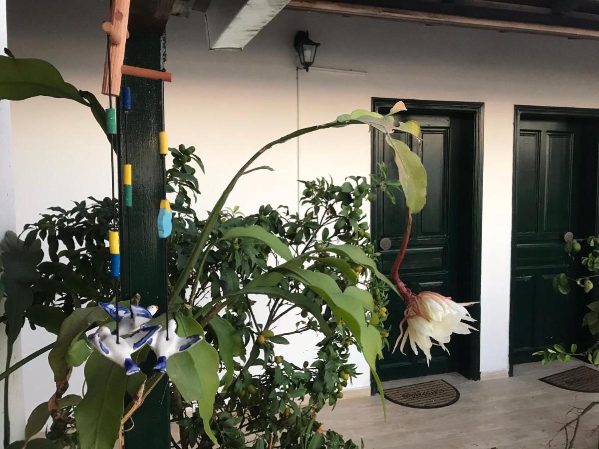 Double Room Mountain View