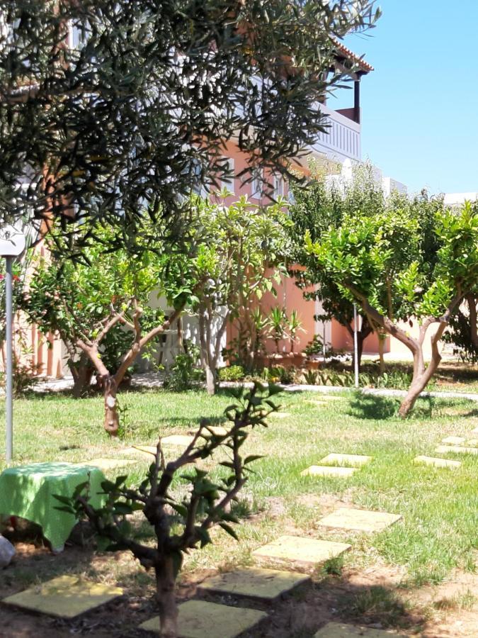 Studio Garden View