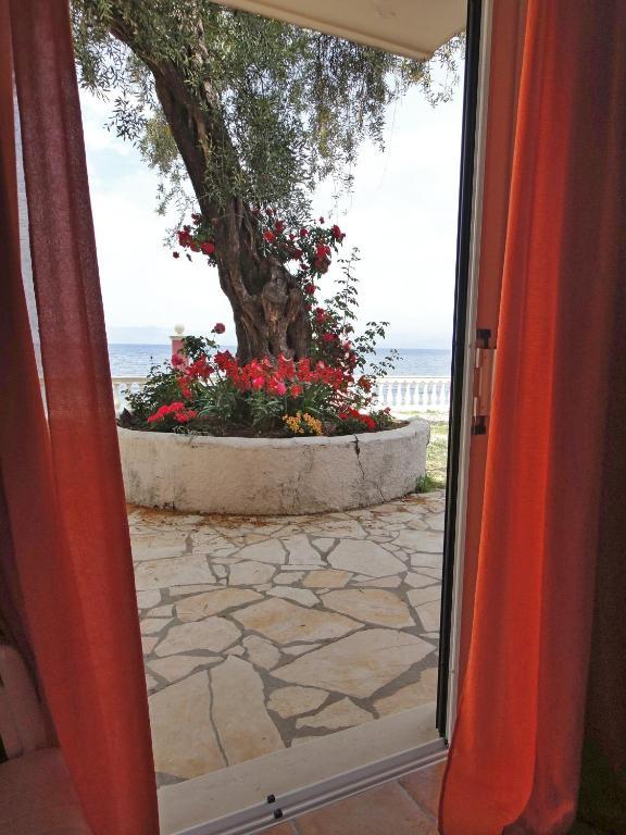 Studio with Sea View