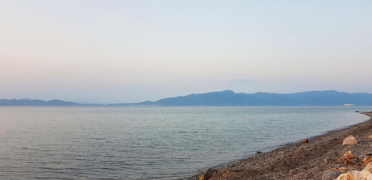 Studio Sea View