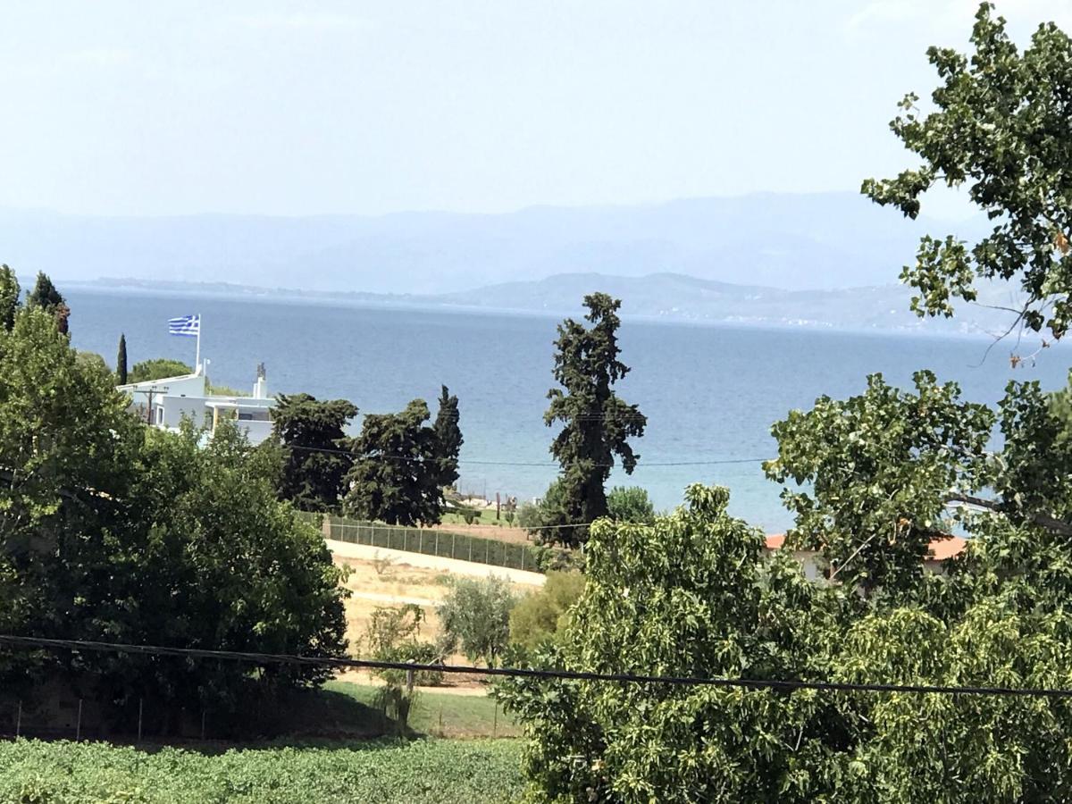 Studio Sea View