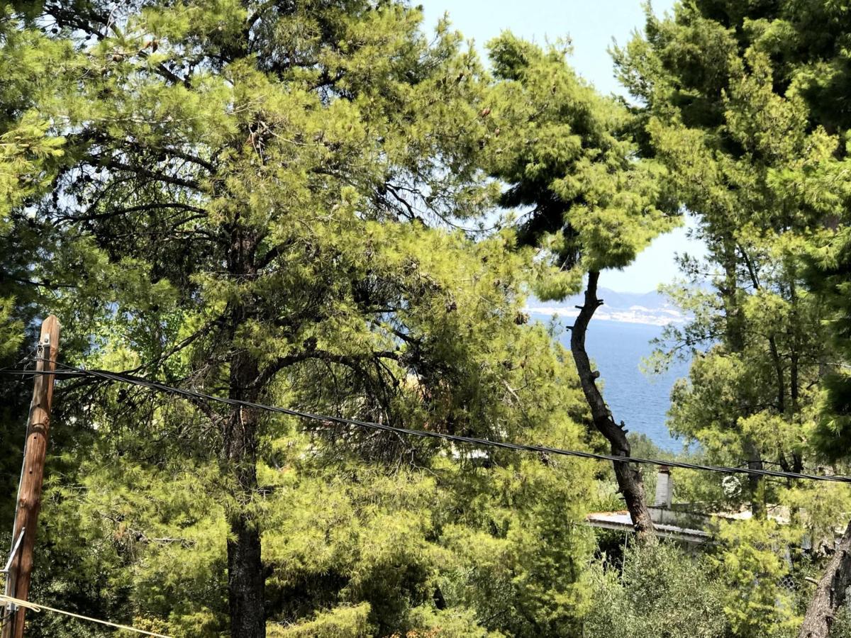 Studio Sea View