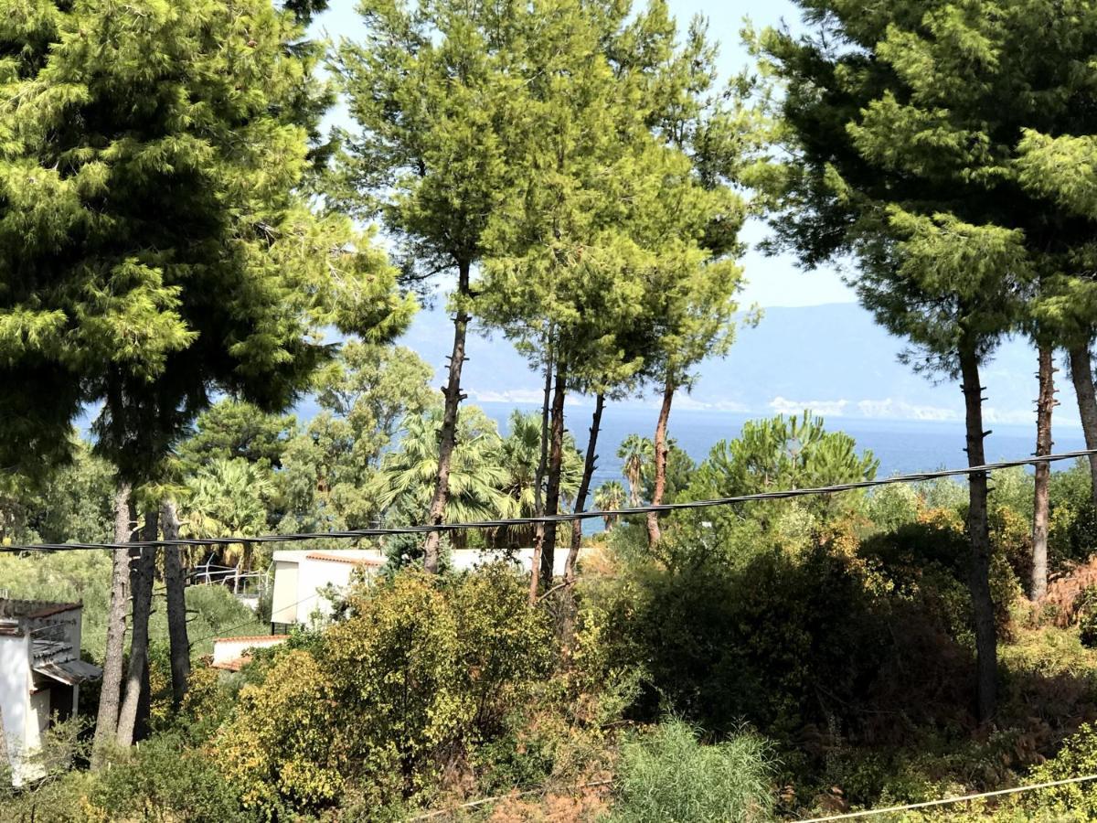 Studio Sea View