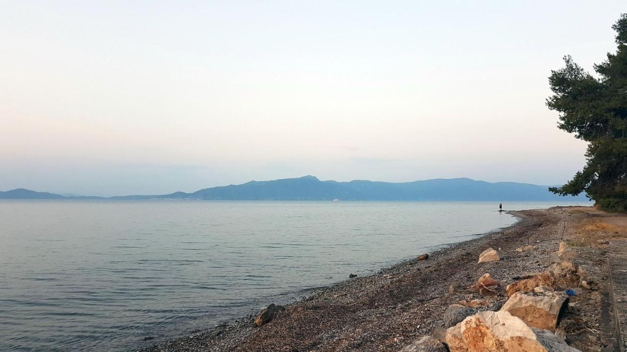 Studio Sea View