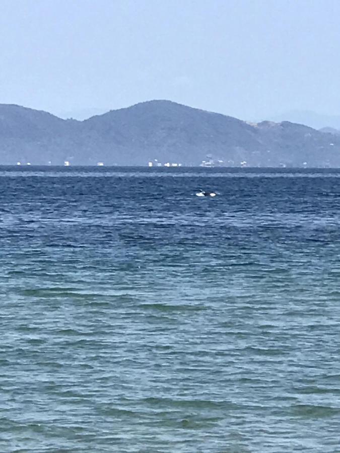 Studio Sea View