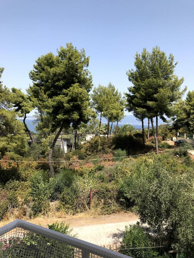 Studio Sea View