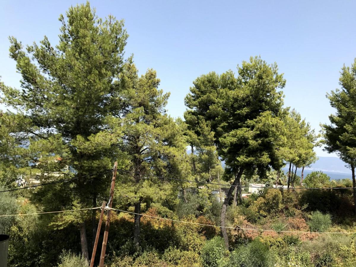 Studio Sea View