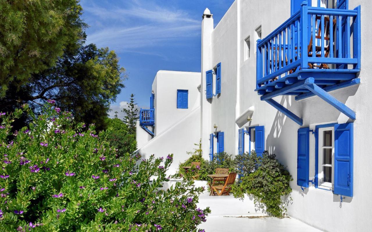 Cozy Double or Twin Room Terrace
