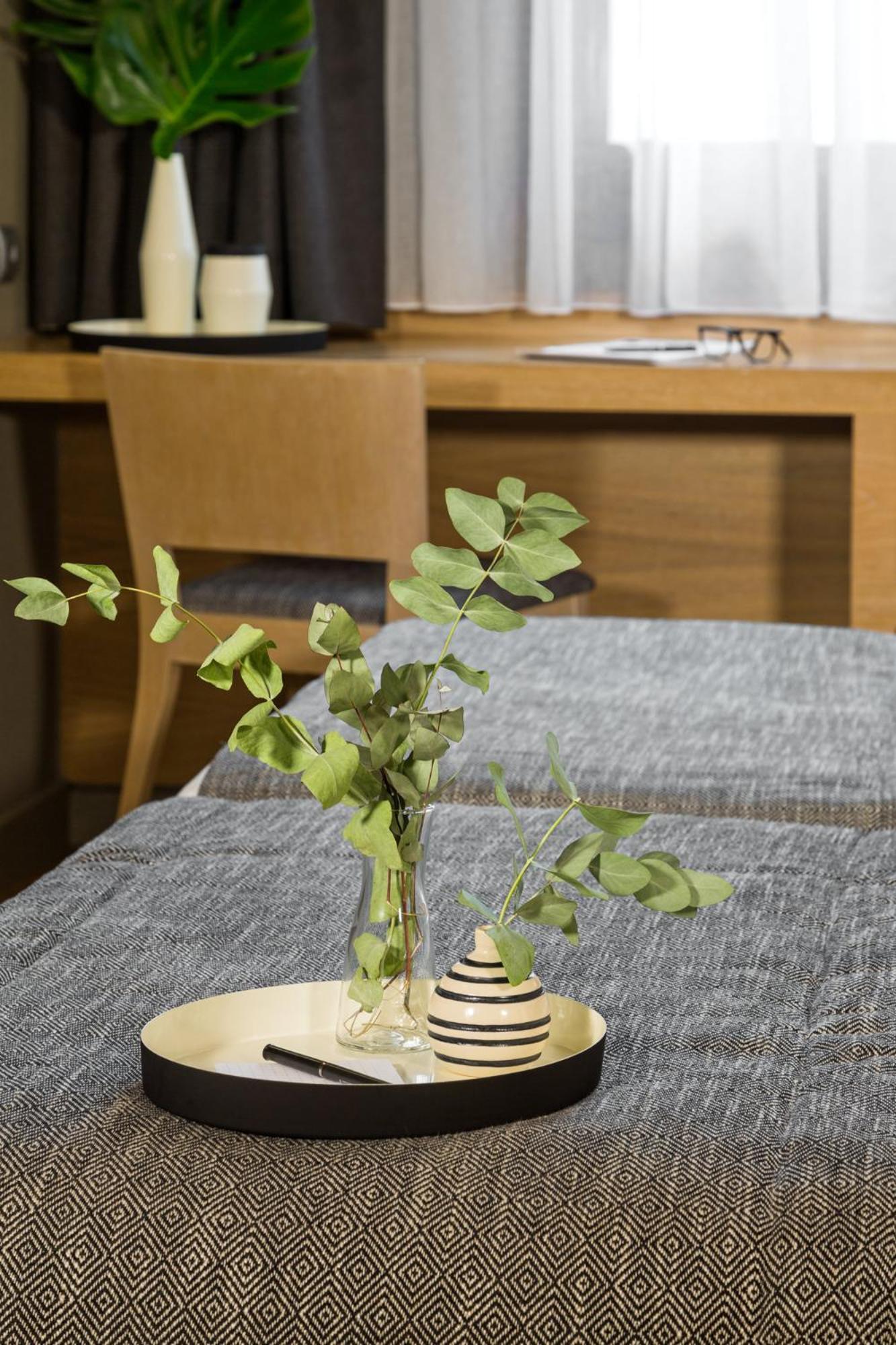 Superior Twin or Double Room