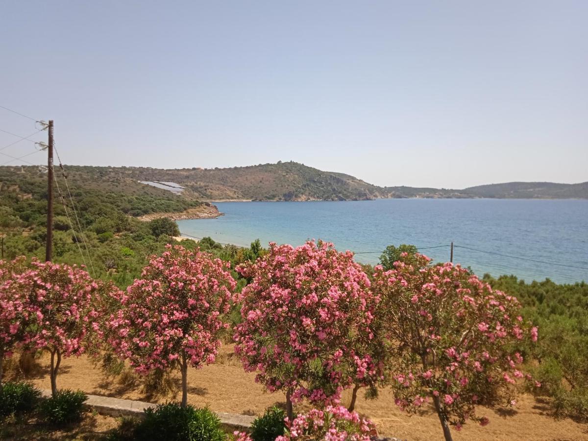 Triple Room Sea View