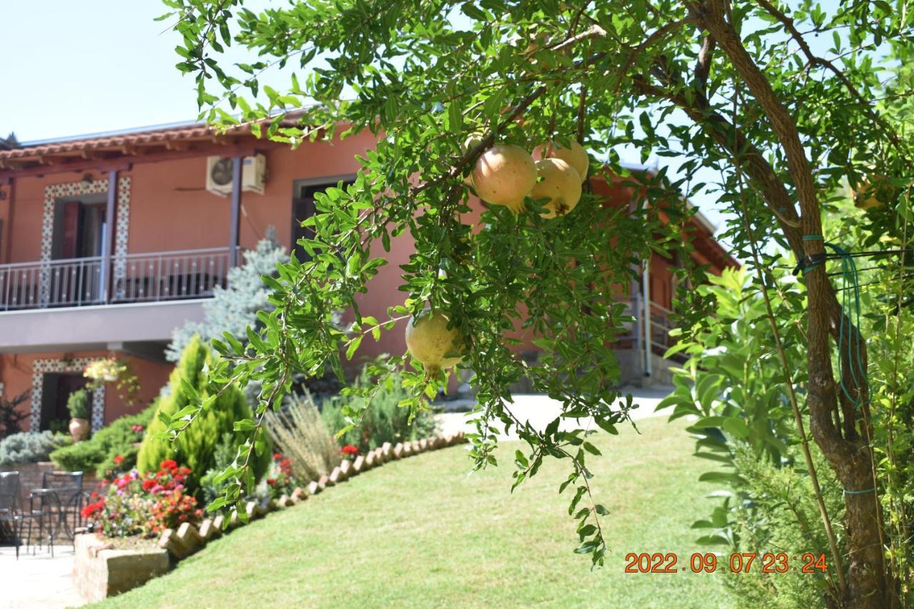 Double Room Balcony