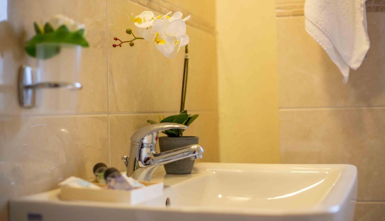 Double Room Mountain View