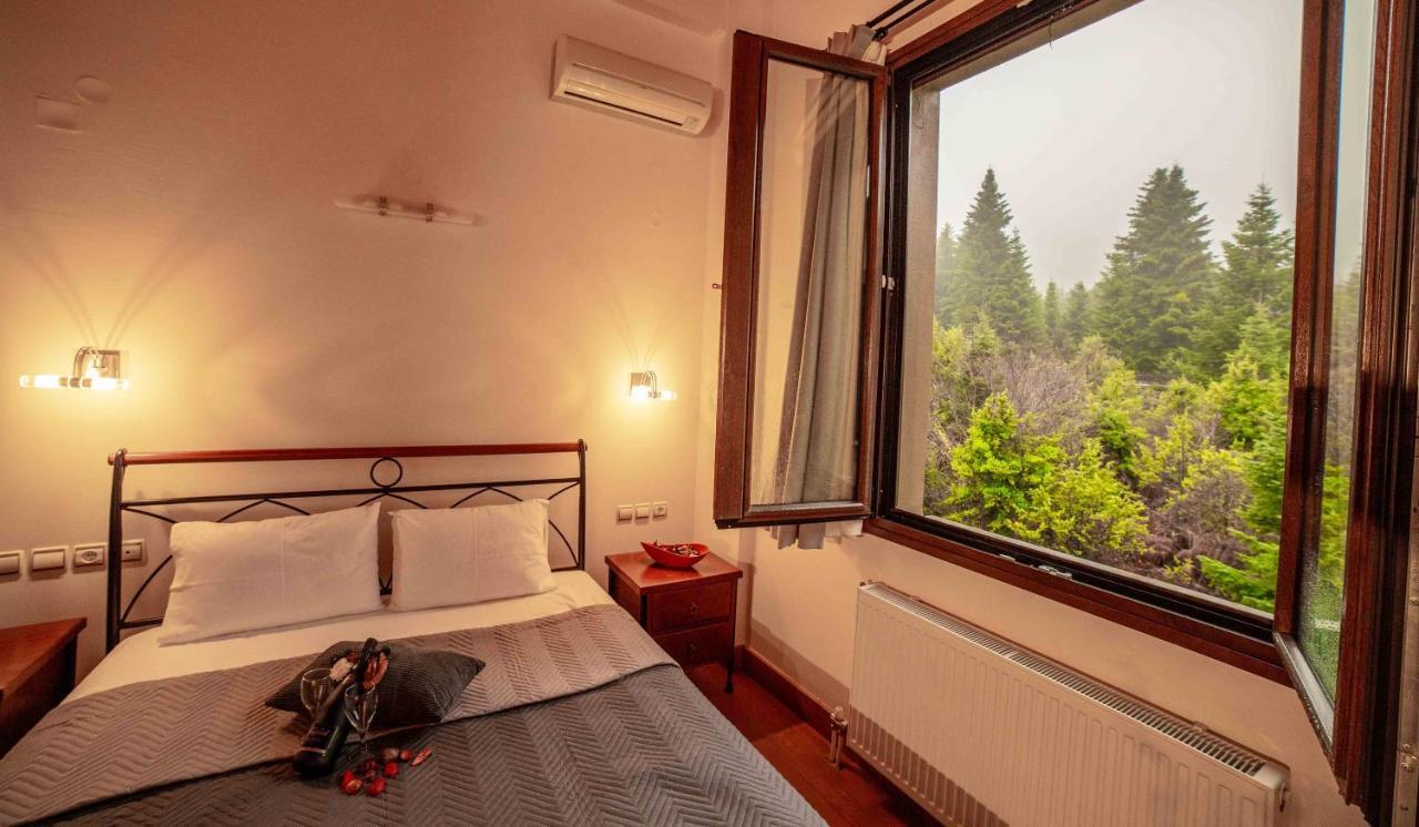 Double Room Mountain View
