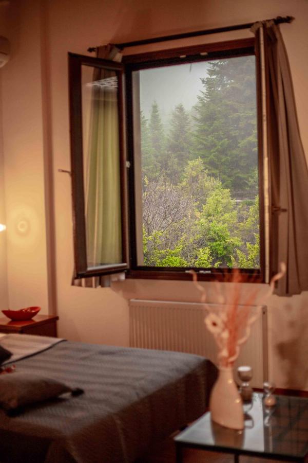 Double Room Mountain View