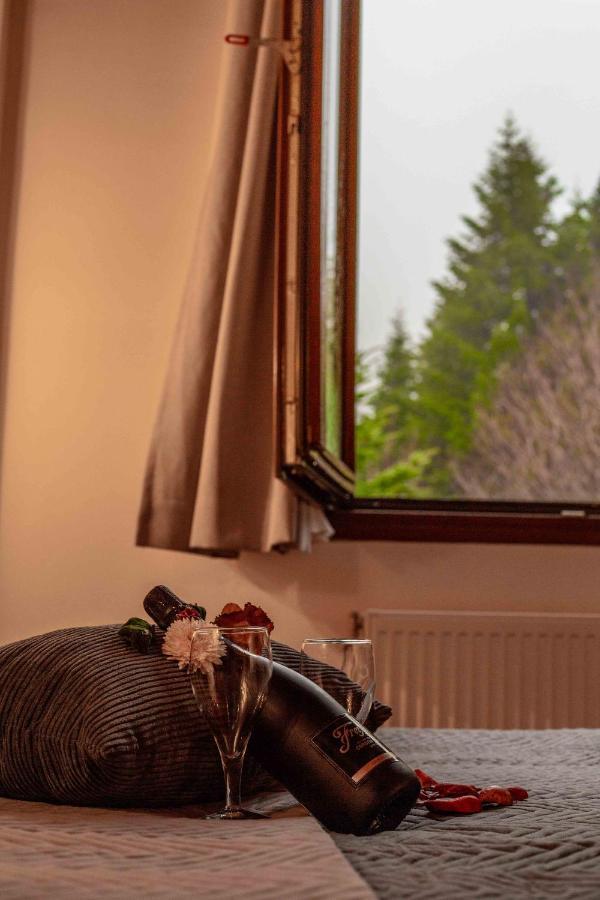 Double Room Mountain View