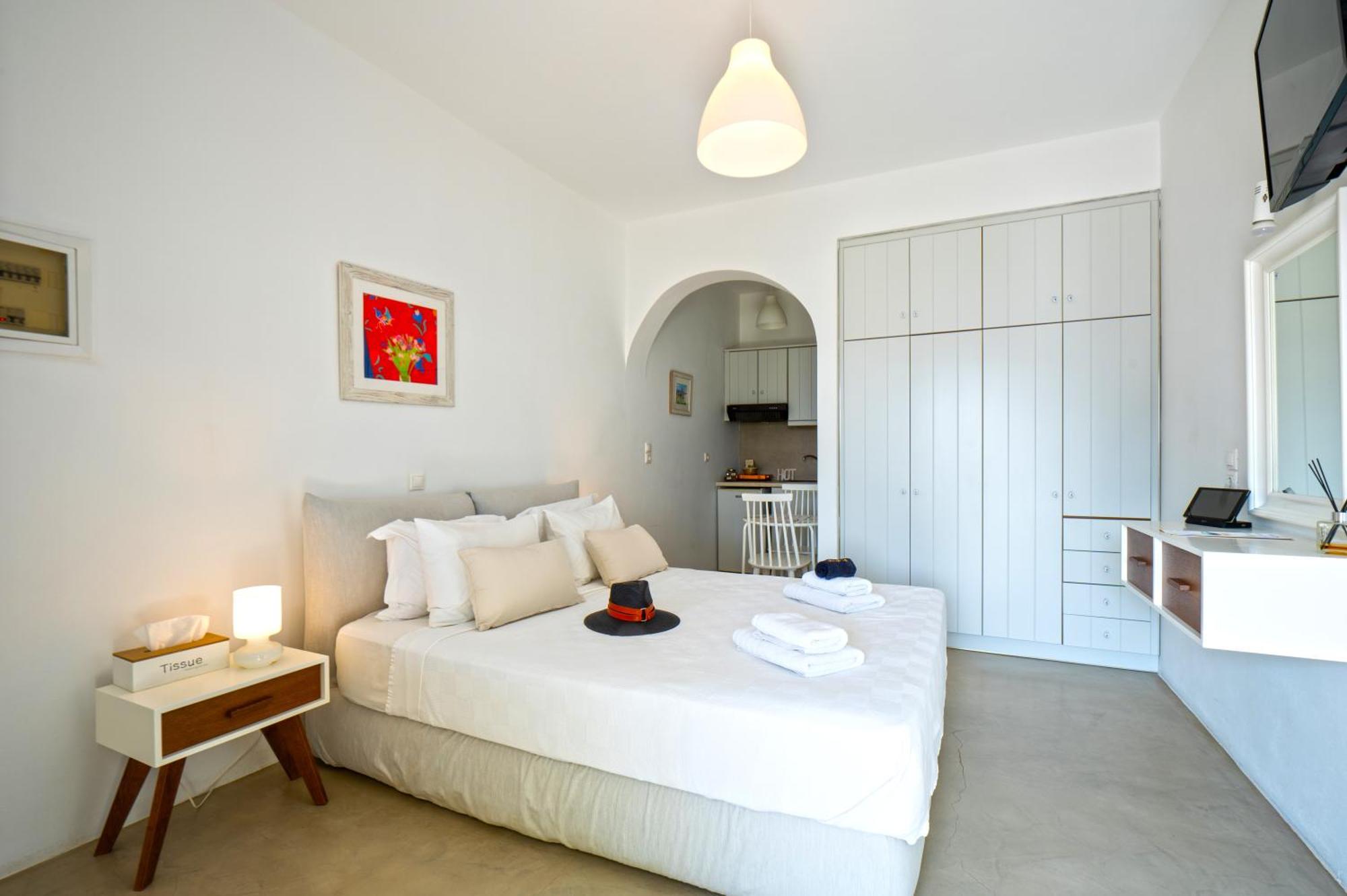 Premium Double or Twin Studio Castle View
