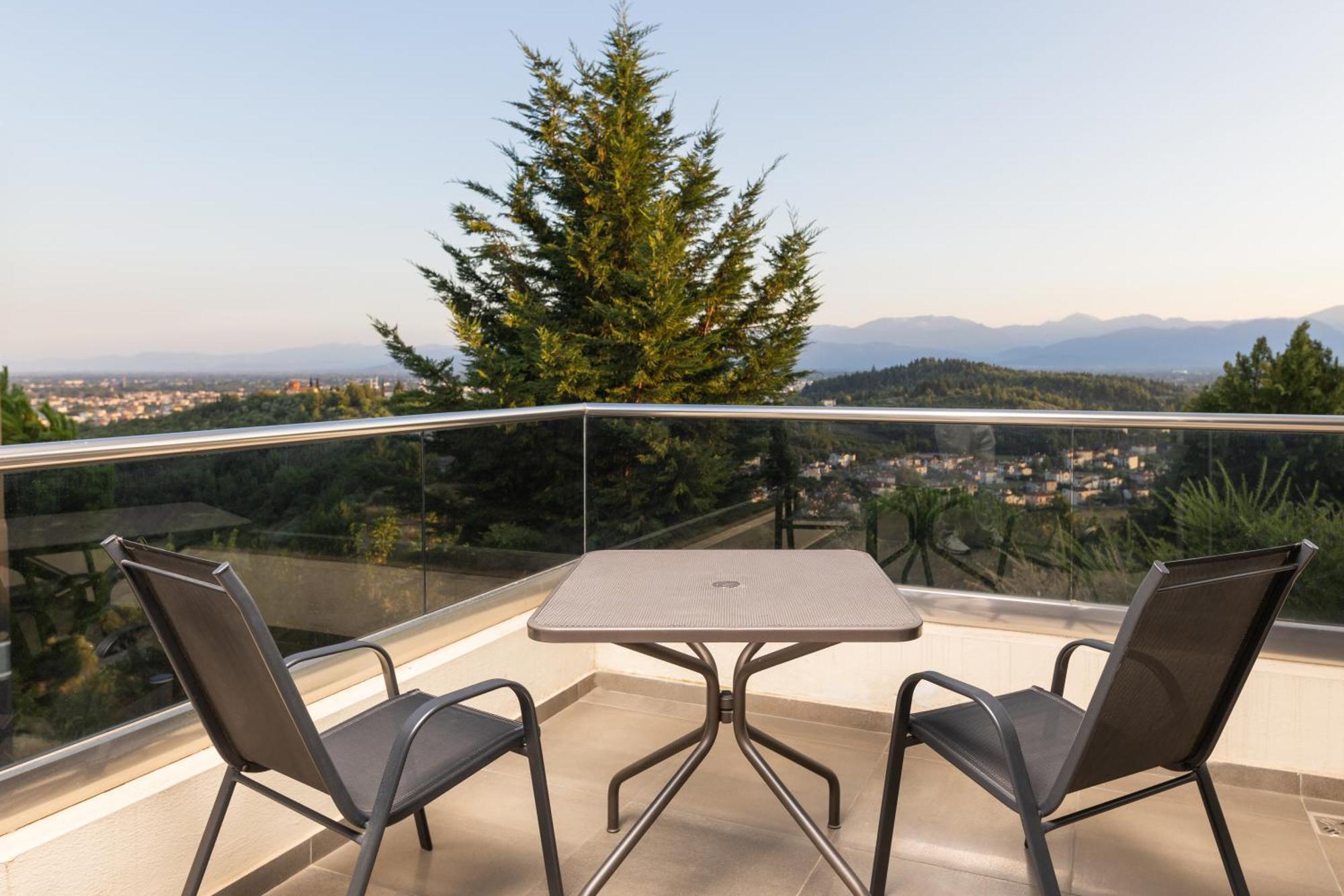 Superior Suite Panoramic View
