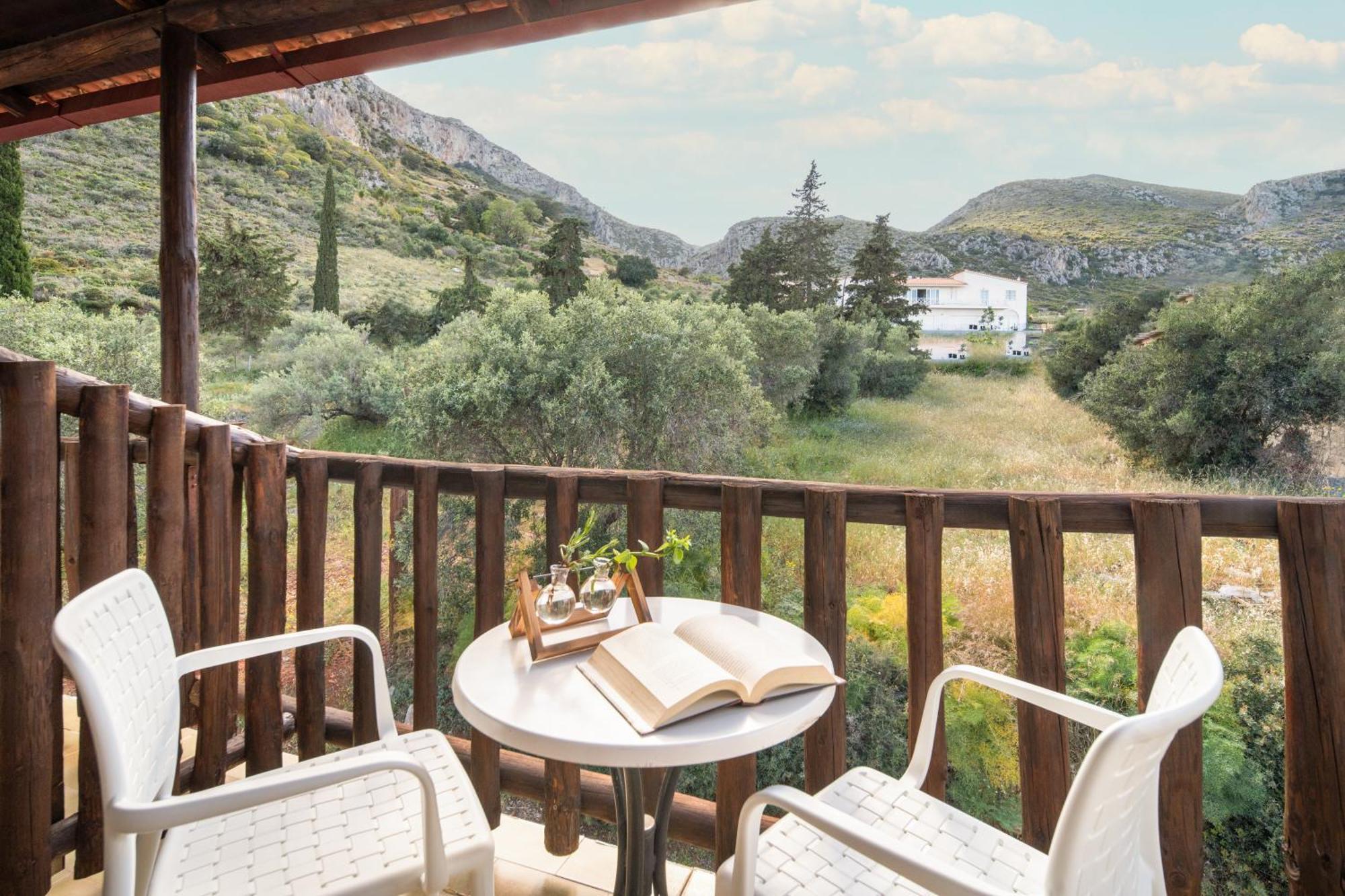Double or Twin Room Mountain View