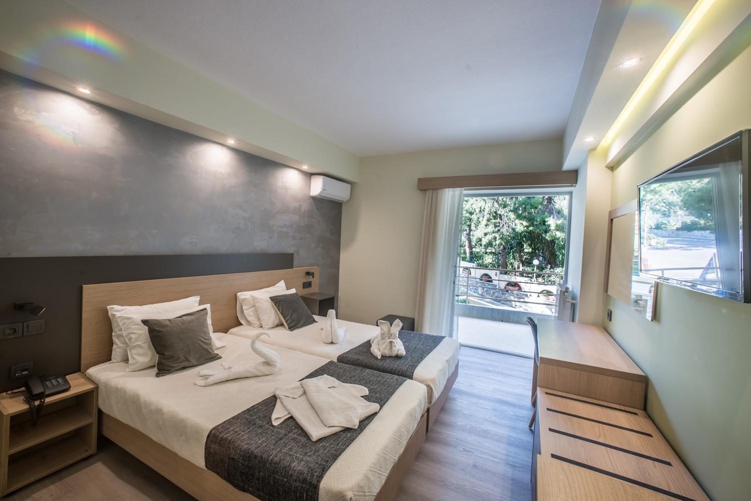 Superior Double or Twin Room Mountain View