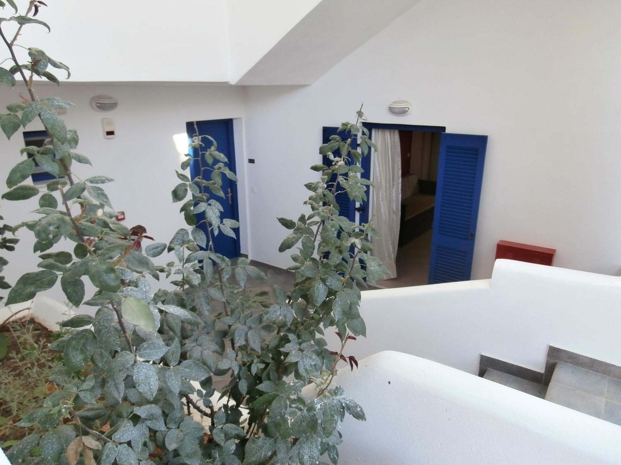 Budget One-Bedroom Apartment