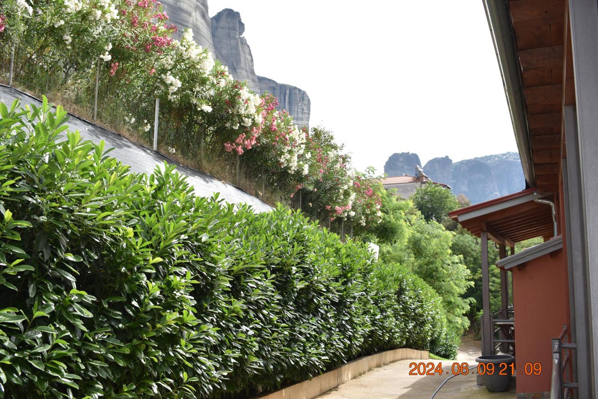 Double Room Balcony