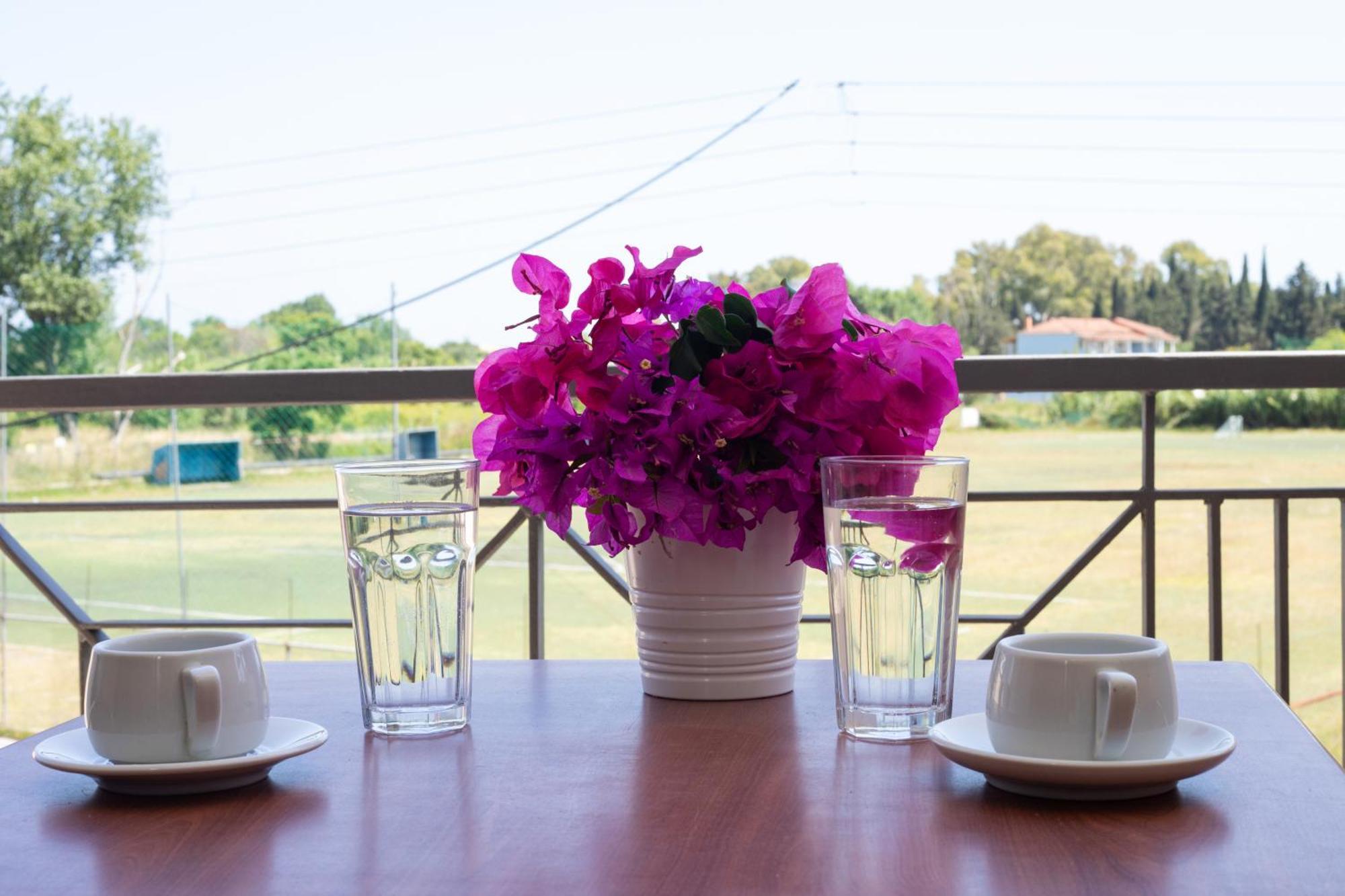 Superior Double or Twin Room Terrace