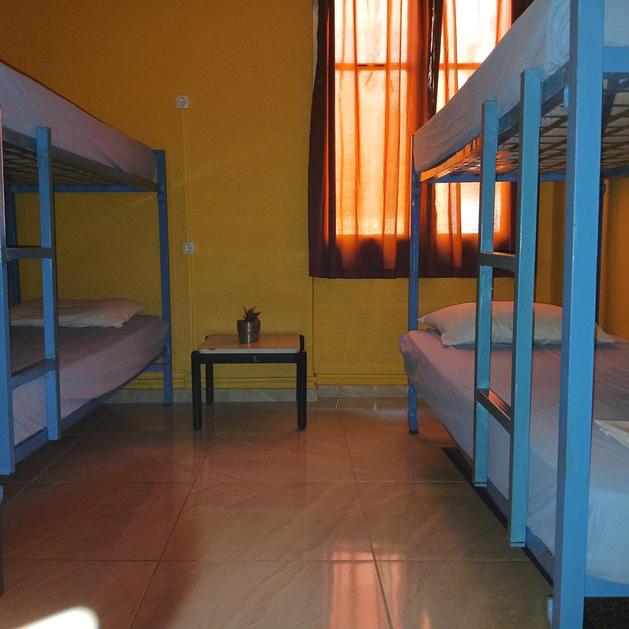 Bed Male Dormitory Room