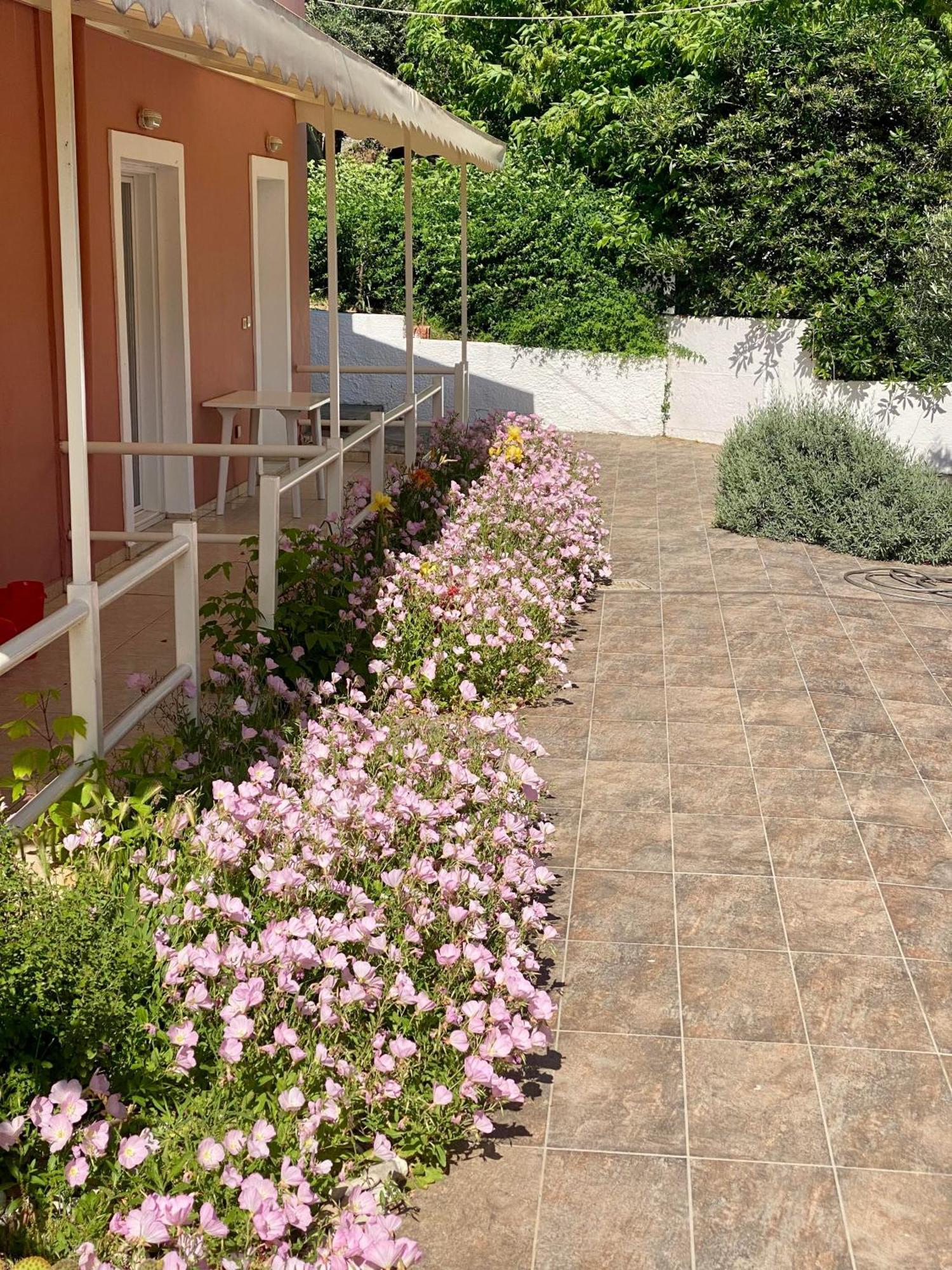 Studio Terrace