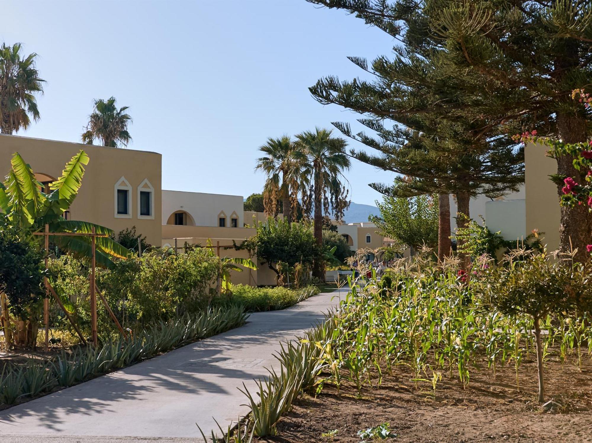 Casa Banana Fields View