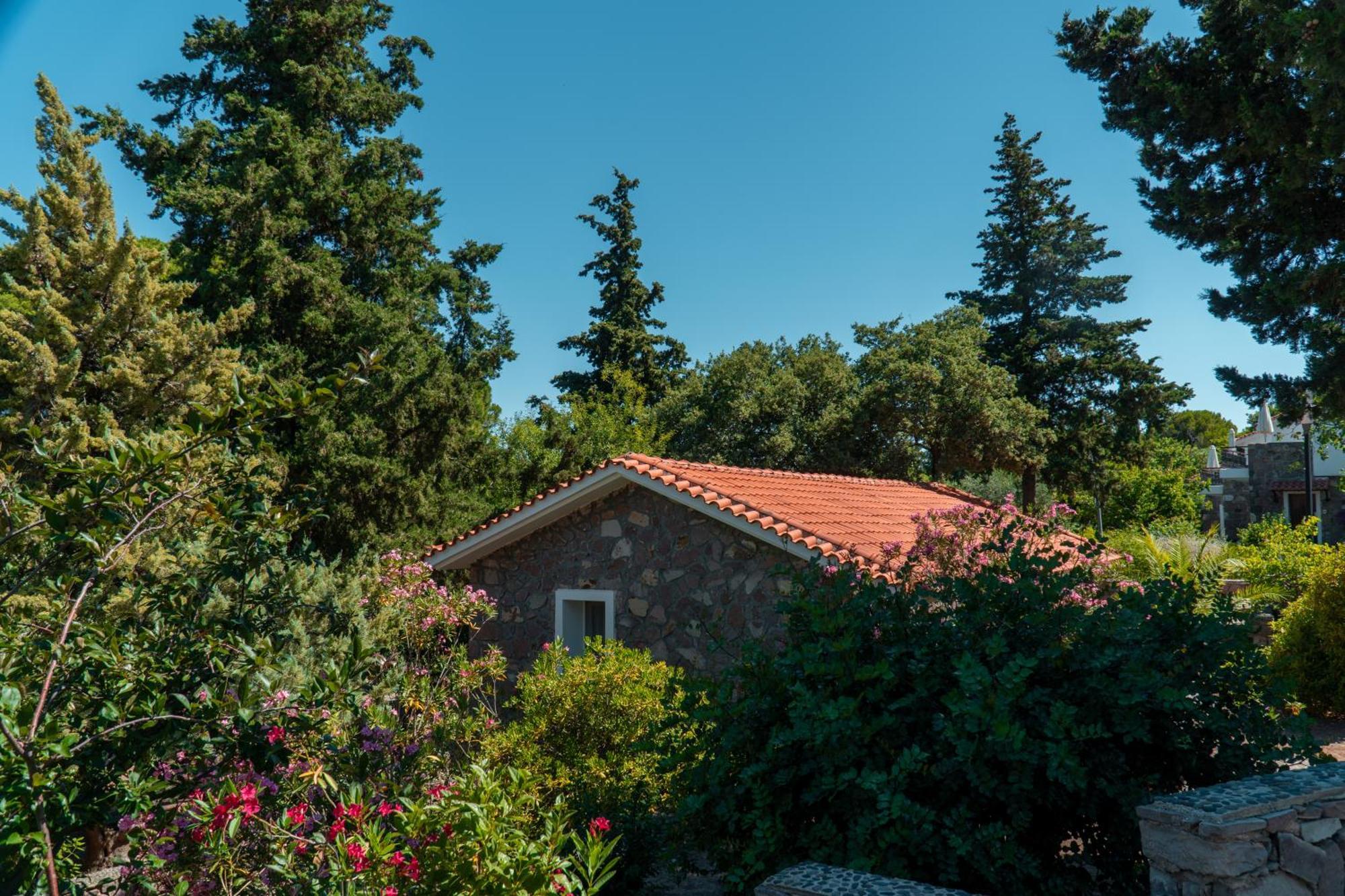 Bungalow Garden View