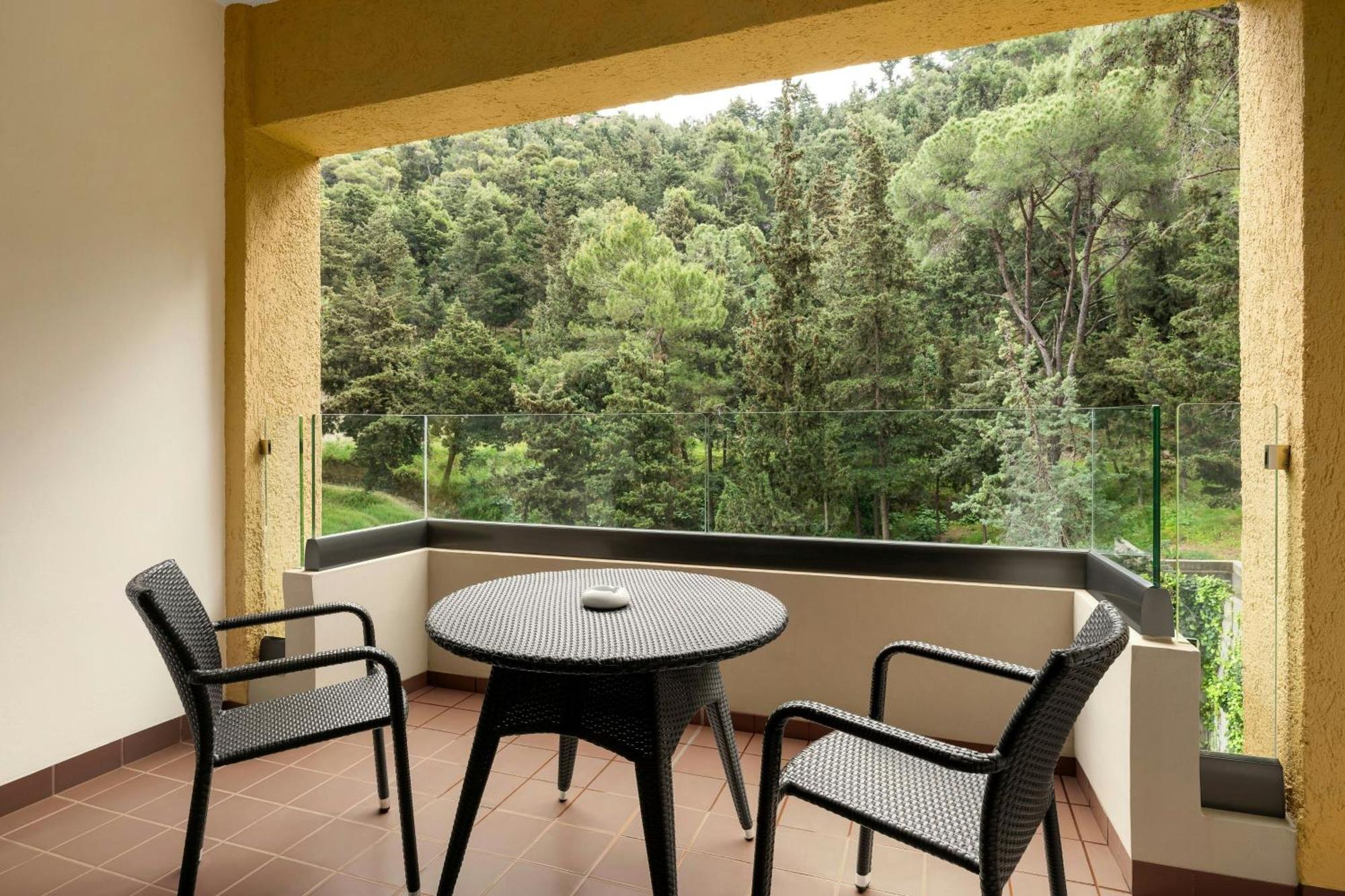 Classic Room Guest room 1 King Garden view Balcony