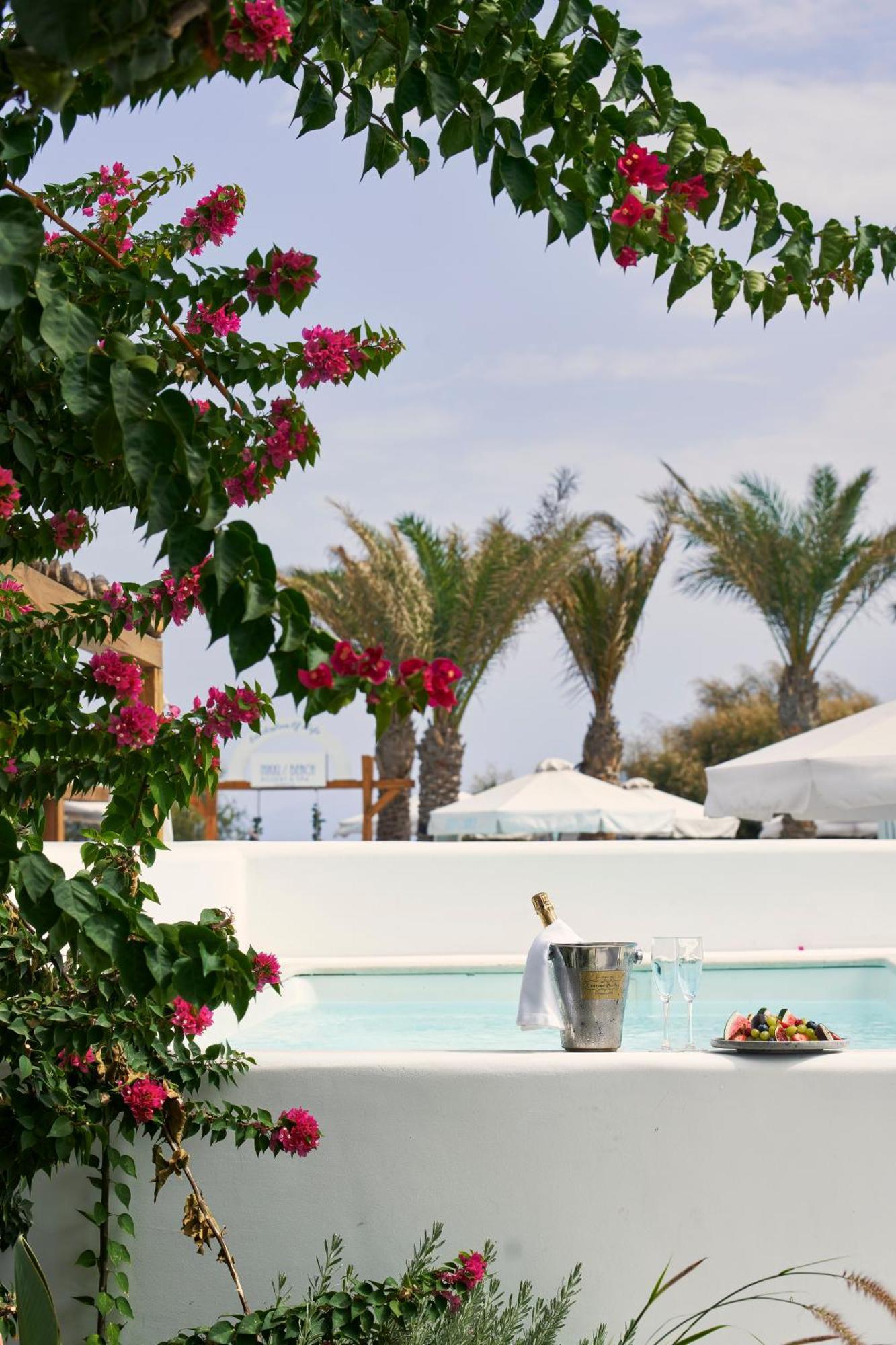 Luxury Suite Private Pool