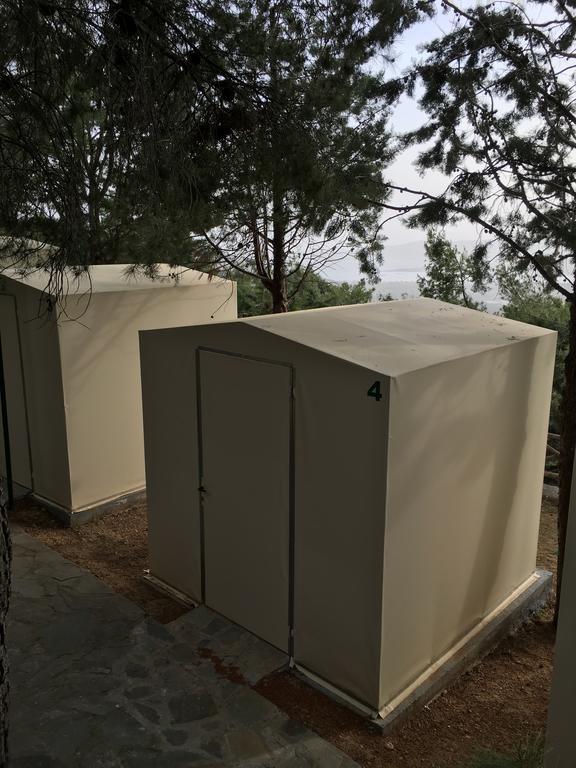 Bed in Dormitory Tent
