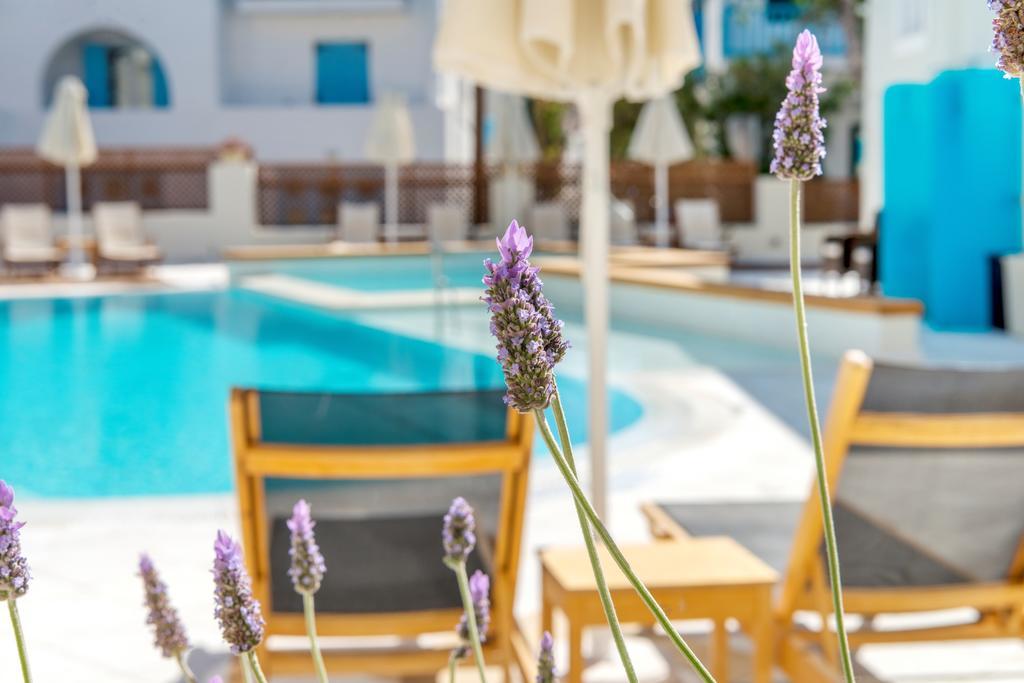 Suite Pool View