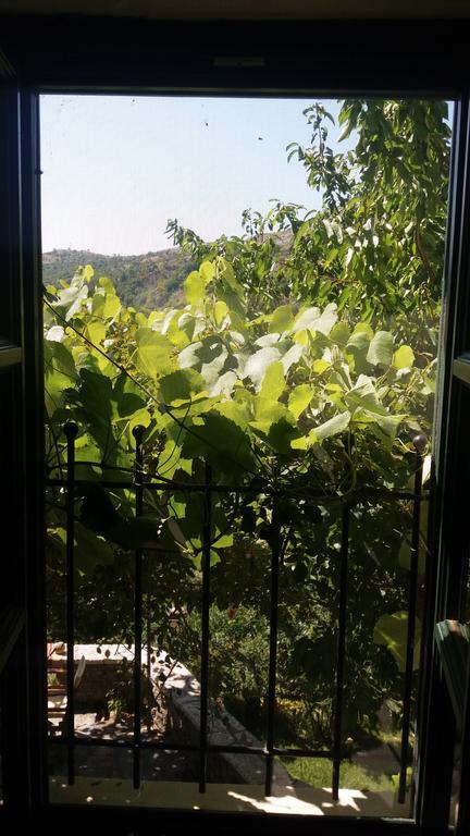 Double Room Mountain View