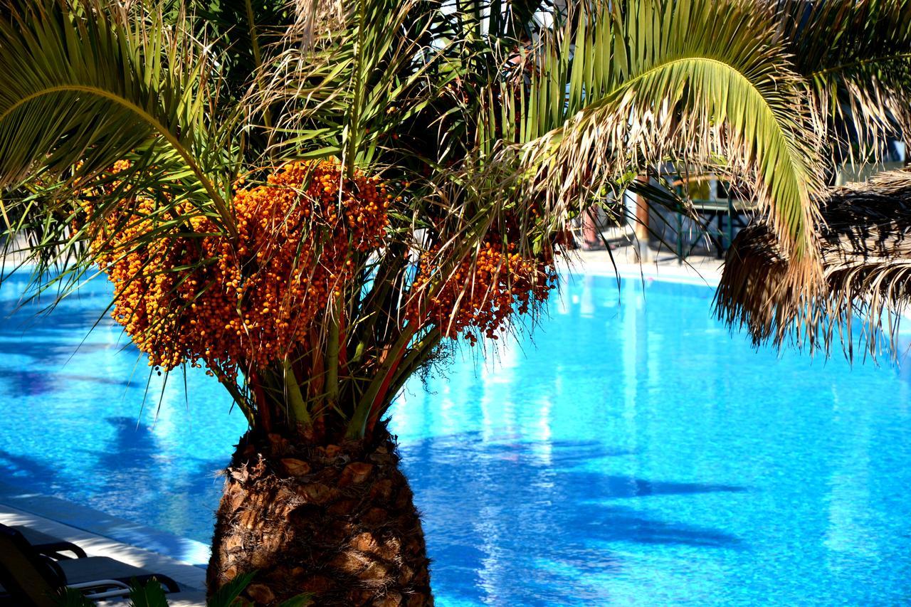 Superior Double or Twin Room Pool View