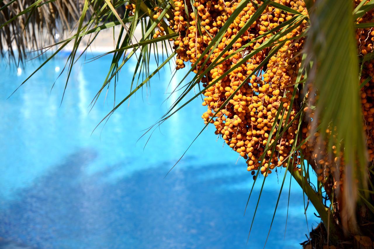 Superior Double or Twin Room Pool View