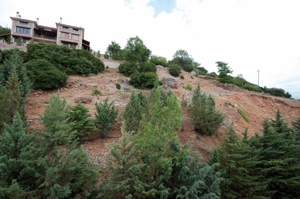 Triple Room Mountain View