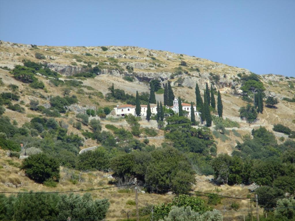 Double or Twin Room Mountain View