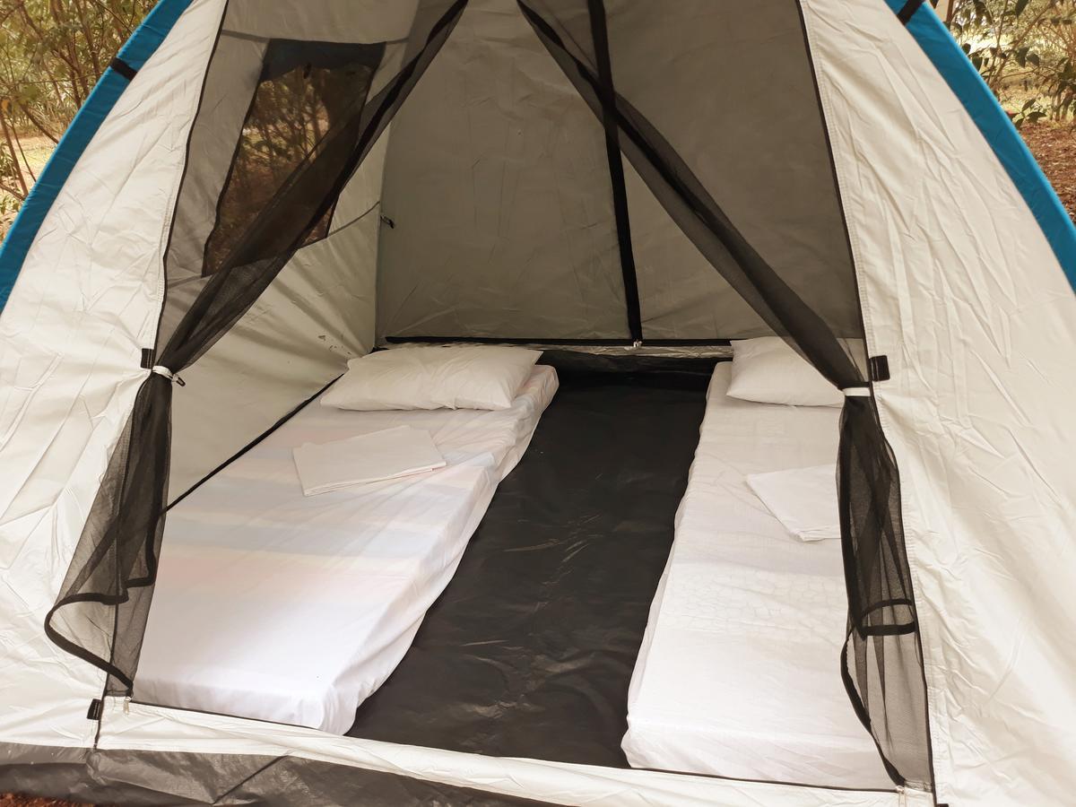Tent (2 Adults)