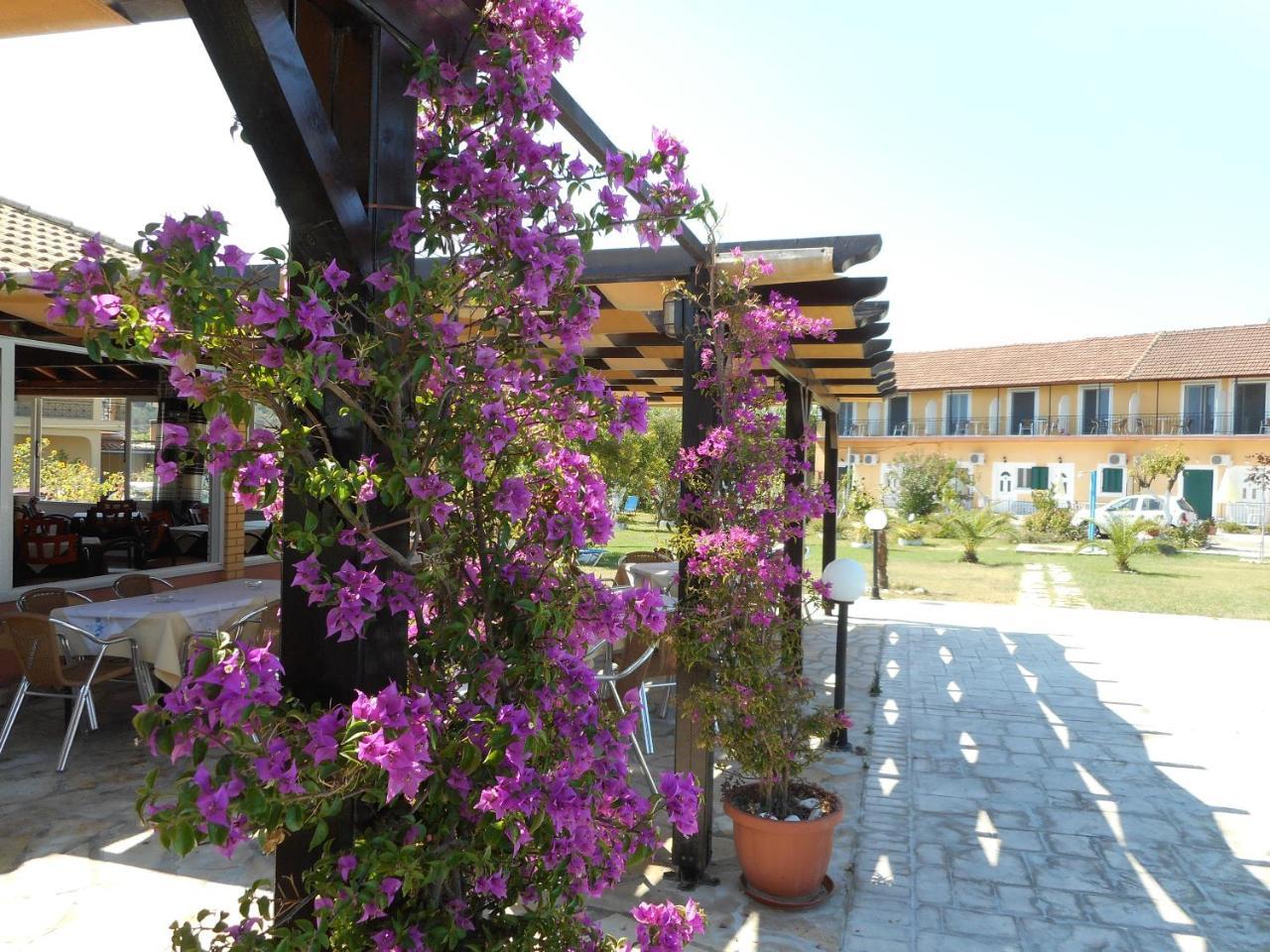 Single Room Garden View