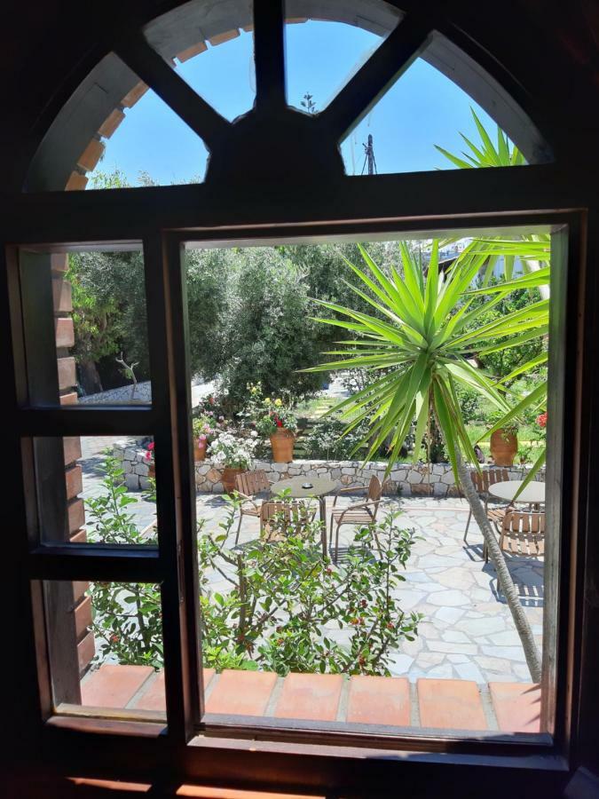 Studio Garden View