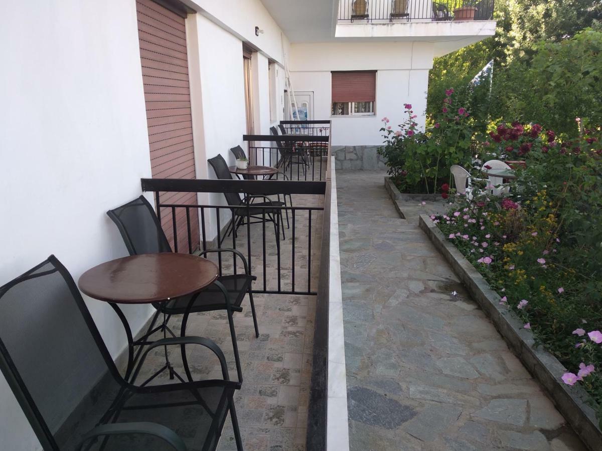 Double or Twin Room Garden View