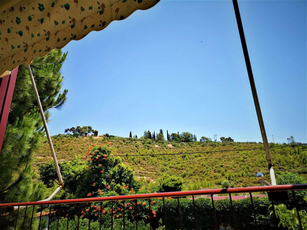 Apartment Mountain View