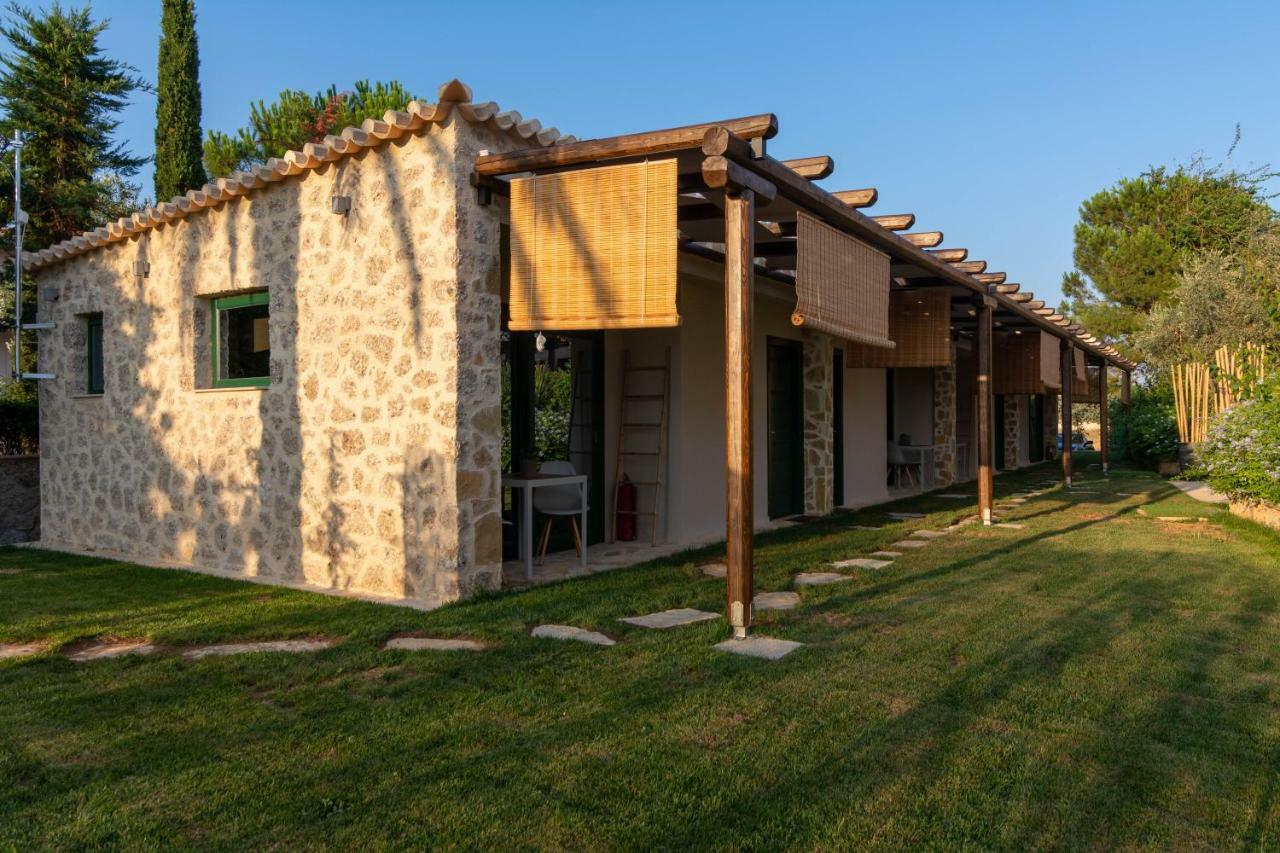 Suite Garden View