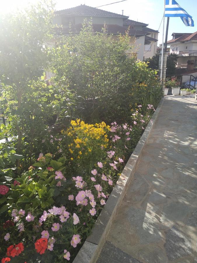 Double or Twin Room Garden View