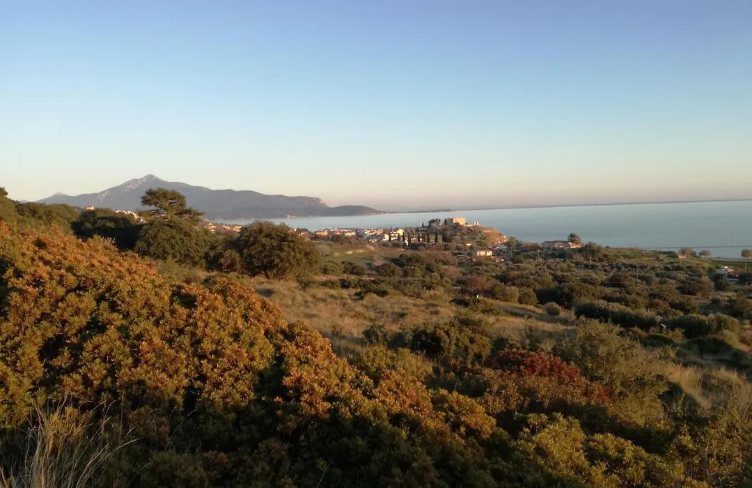 Apollon Resort-1