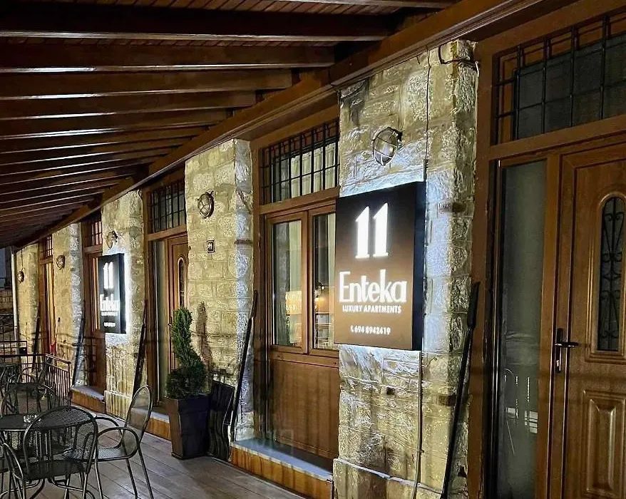 11 Luxury Apartments Metsovo-1